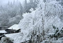 عالم التجميد! فصل الشتاء في مقاطعة هوبى الصينية.