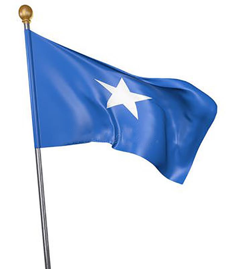 تهنئة بثورة 21 أكتوبر (الصومال)